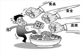 食品追溯 从技术到信任的桥梁